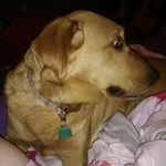 Miss Kay - @miss_kay_finney - Instagram