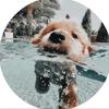 Hi I’m new - @emmakayyfoote - TikTok