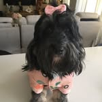 Kay Foster - @kayfoster98 - Instagram