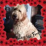 Kay Foster - @kayfoster65 - Instagram