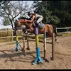 kayanty und celina - @kay.fuchspowerrr.backup - TikTok