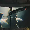 gage.kay - @gage.kay - TikTok