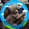kaygage47 - @kaygage47 - TikTok