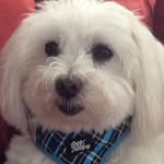 Kay Gallagher-McLaughlin - @kayco1958 - Instagram