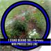 Kay Galloway - Facebook