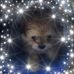 Kay Gillespie - Facebook