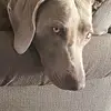 Kay Gillespie - @kay.gillespie7 - TikTok
