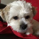 Kay Gillespie - @3140kay - Instagram