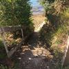 kay_goad - @kkay_goad - TikTok