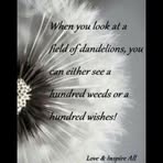 Kay Graber - Facebook