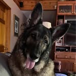 Kay Grantham - @shepardsinn17 - Instagram
