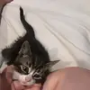 kayleighgreeley - @kayleighgreeley - TikTok