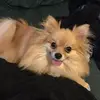 Kayli Greeley - @kayligreeley - TikTok