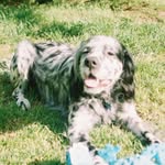 kay greer - @buysomethingporfavor - Instagram