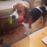 Kay Gregson - @kay_gregson_67 - Instagram