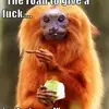 Kaylene Grimmer - @kaylene.grimmer - TikTok
