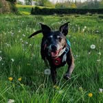 Debra Kay Groves - @debrakaygroves - Instagram
