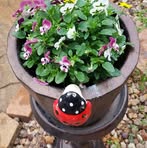 Kay Groves - Facebook