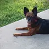 kaymgrubb - @kaymgrubb - TikTok