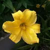 Kay Guy - @kay.guy2 - TikTok