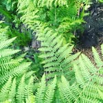 Kay Hackett - @kayhackett549 - Instagram
