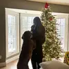 kaylinnhackett - @kaylinnhackett - TikTok