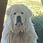 Amy Kay Hamlin - @amy_hamlin - Instagram