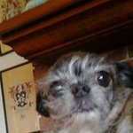 Kay Hatcher - @kayhatcher - Instagram