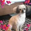 kay - @kayhatcher1 - TikTok