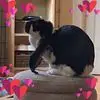 kayherrinbenson - @kayherrinbenson - TikTok