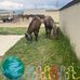 Kay Herron - Facebook