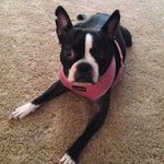 Kay Hester - @reseth7676 - Instagram