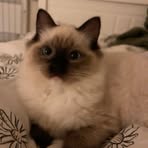 Kayle Hiden - Facebook