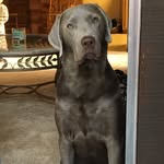 Kay Hight-Barker - @hightbarker - Instagram