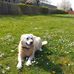 Kay Hirsch - Facebook