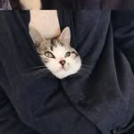 Kay Ho - @kayho__ - Instagram