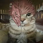 Kayhos - @kayhosyt - Instagram