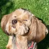 Kay Hock - @kay.hock3 - TikTok