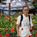 Kay Hock Khoo - @kayhock.khoo.7 - Instagram