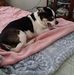 Kay Hough - Facebook