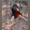 Stitch (Moe) - @joekayhouk - TikTok