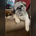 Kay Houser - Facebook