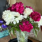Kay Houser - @kay_houser - Instagram