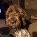 Kay Howe - Facebook