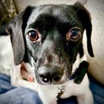 Kay Huffman Turner - @kht079 - Instagram