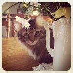Kay Hurd - @khurd - Instagram
