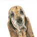 Kay Hurd Artist - Facebook