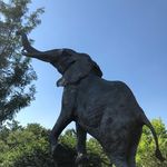Mary Kay Hurd - @mkhlink - Instagram