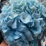 ｋａｙ - @kaylee_inman5 - Instagram
