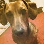 Kay Jack - @kayjack802 - Instagram